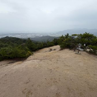 頂上はもう景気が見えず…