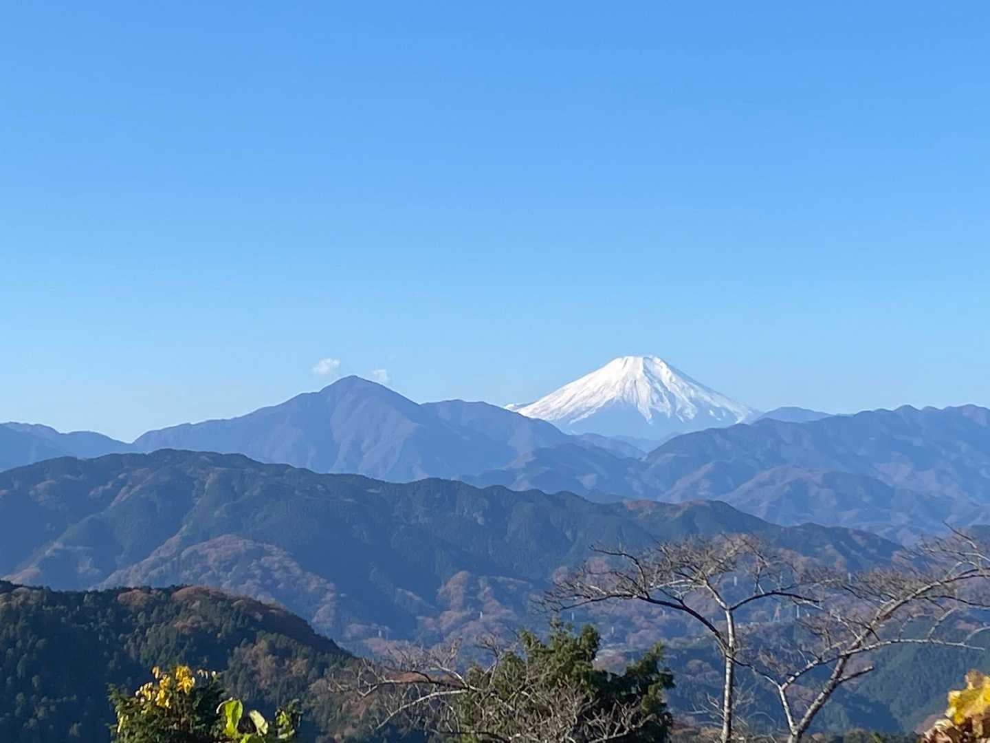 高尾山展望台より📸