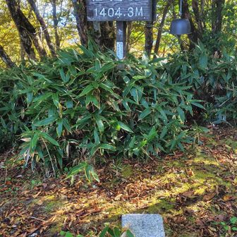 佐々連尾山山頂