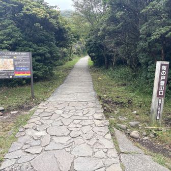 ガスで潤いながら登山口着。

ありがとうございました🥾。