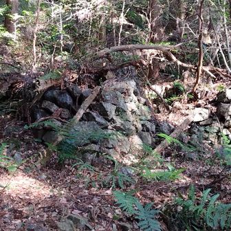 わかりづらいと思いますが、石が積み重ねられてました
祠の後でしょうか？