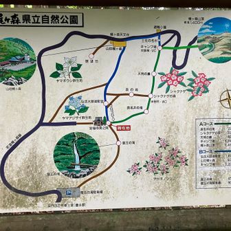 定福寺奥之院に到着(案内板)