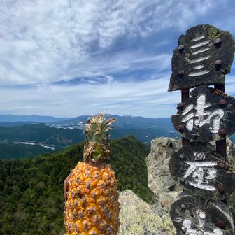 山頂で食べます