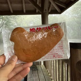 ヤマンバーズが語らう⁉️あずまやへ💨
雨が小降りになってきて移動準備しているのに
鳩サブレーを食してしまった😆
時間管理が雑でごめんなさい🙇‍♀️
雨の日でも☔銘菓はやっぱり美味しい😋
平和のシンボル✨ピジョン🐦銘菓が心を癒す❤️