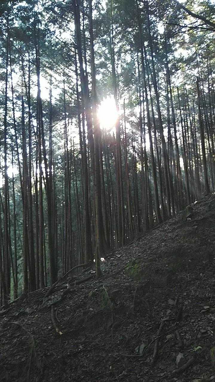 朝陽の陽射しが清々しい。