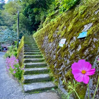 西之川登山口近くの駐車場は7時過ぎで満車🈵
皆さんご来光目的？
こっち来なくてロープウェイ近くの駐車場に停めて良かった🙆‍♂️
成就からの下山は万が一脚が残ってたら今宮道で降りてこようと思っての考えだったので…