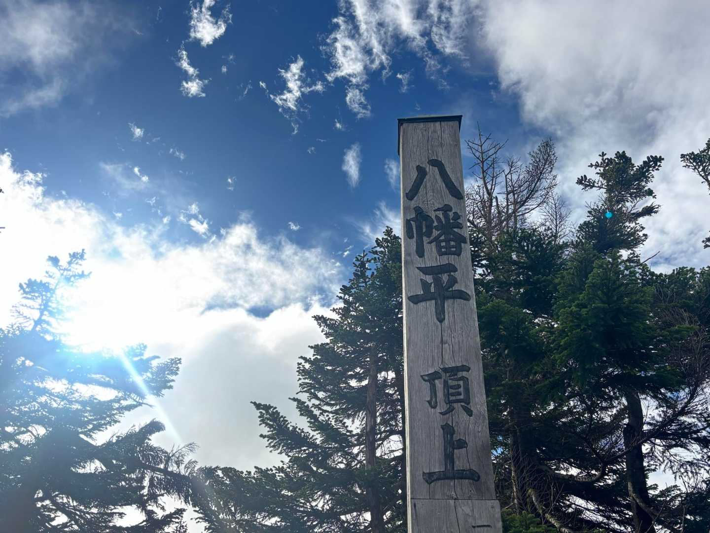 そして、大台ケ原もビックリ
あっという間に頂上到着
日本百名山、71座目は八幡平（1613ｍ）🙌