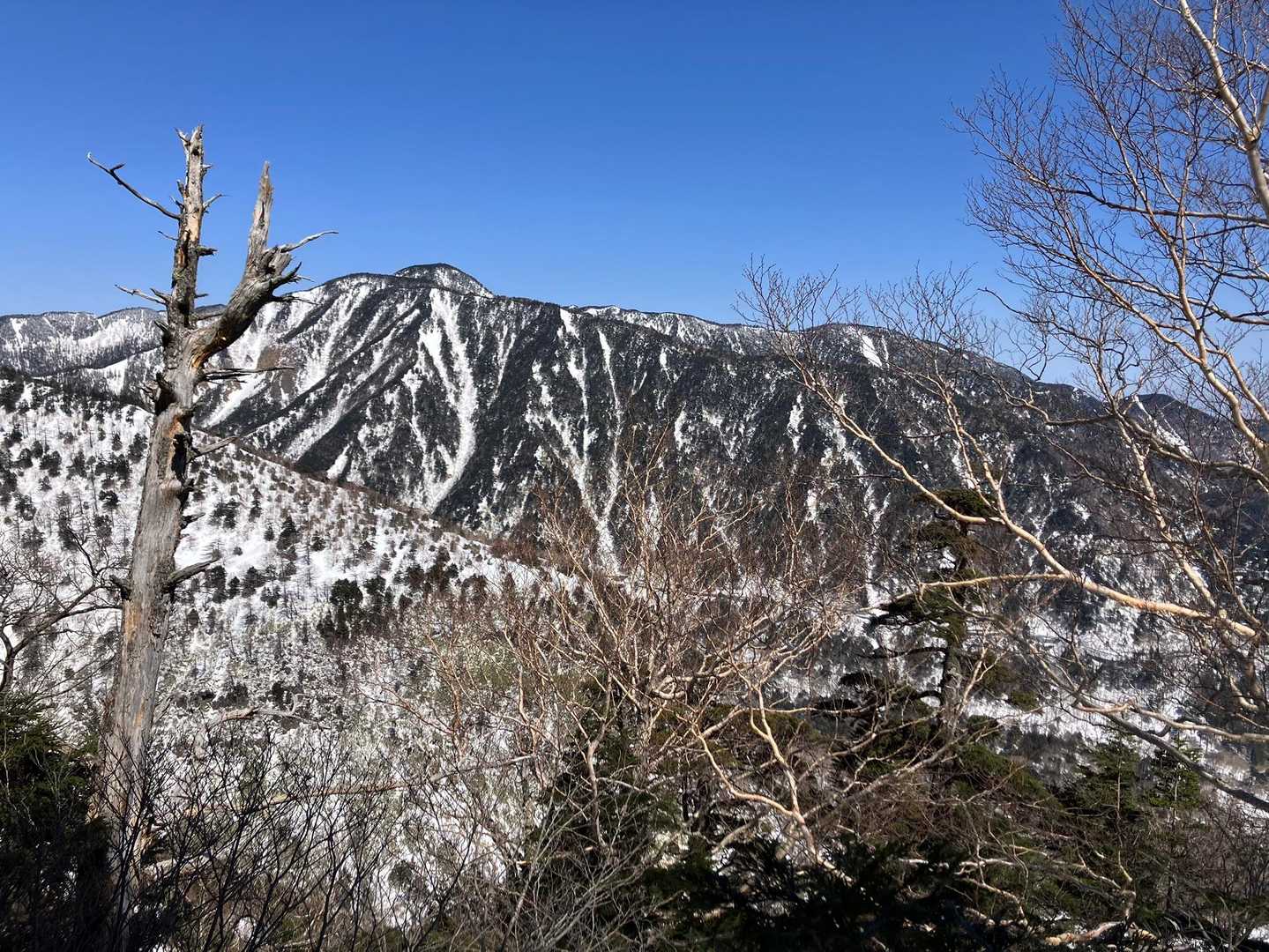 前白根山 往復コースの写真