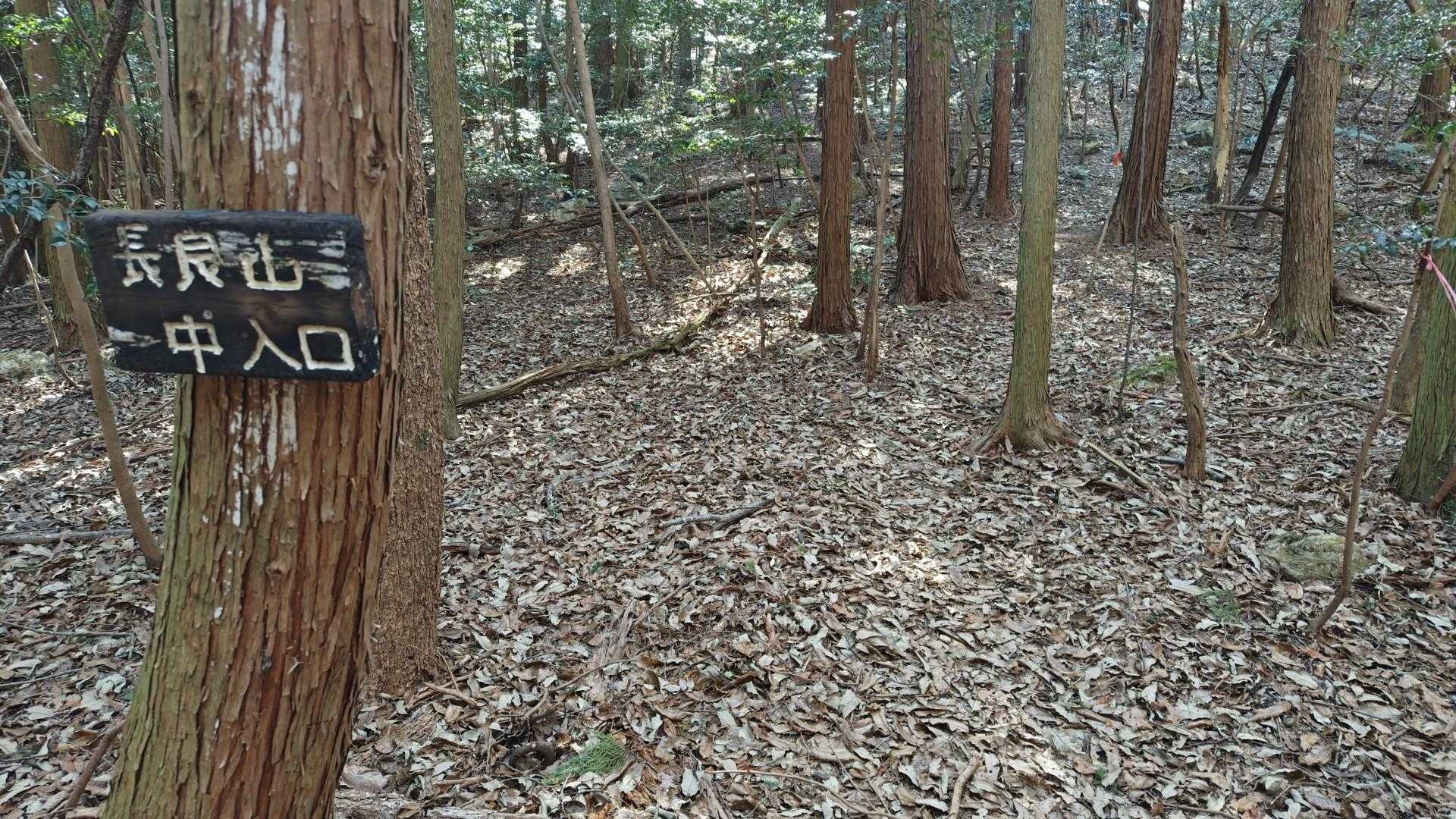 長良山 往復コースの写真