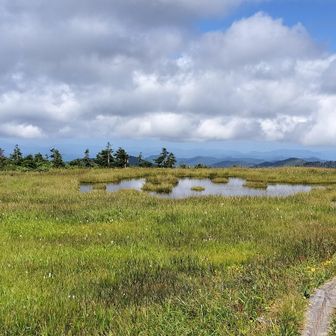 山頂標から10分ほど先のこの辺りが地図上の中門岳山頂
木道はループして行き止まり
右奥にベンチあり
山頂標のある中門大池の辺りより地味な感じだけどこれはこれでいい感じ