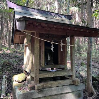 山神社⛩️
