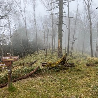 左から、雁坂小屋からの路が合流