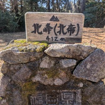 昔はここ、うっそうと茂っていた気がする。
基山はどんどん公園のようになっていく。