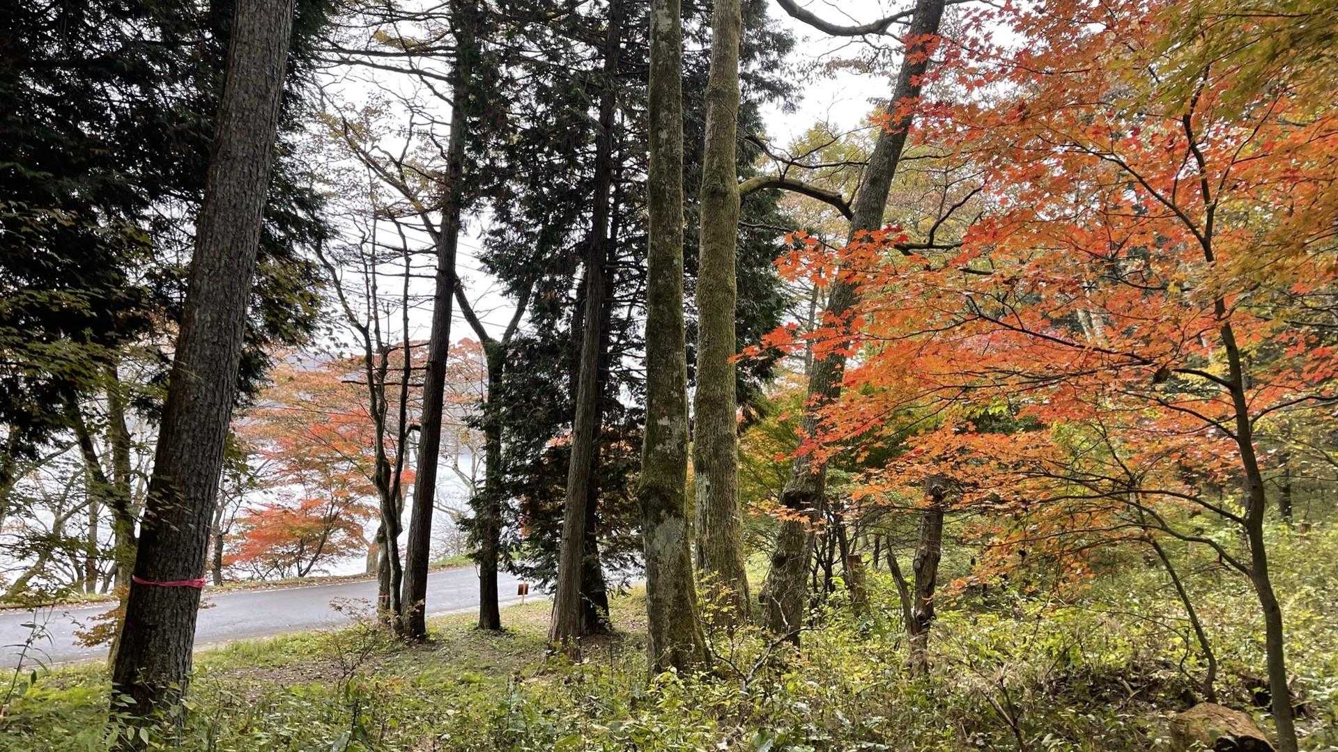 湖畔に到着