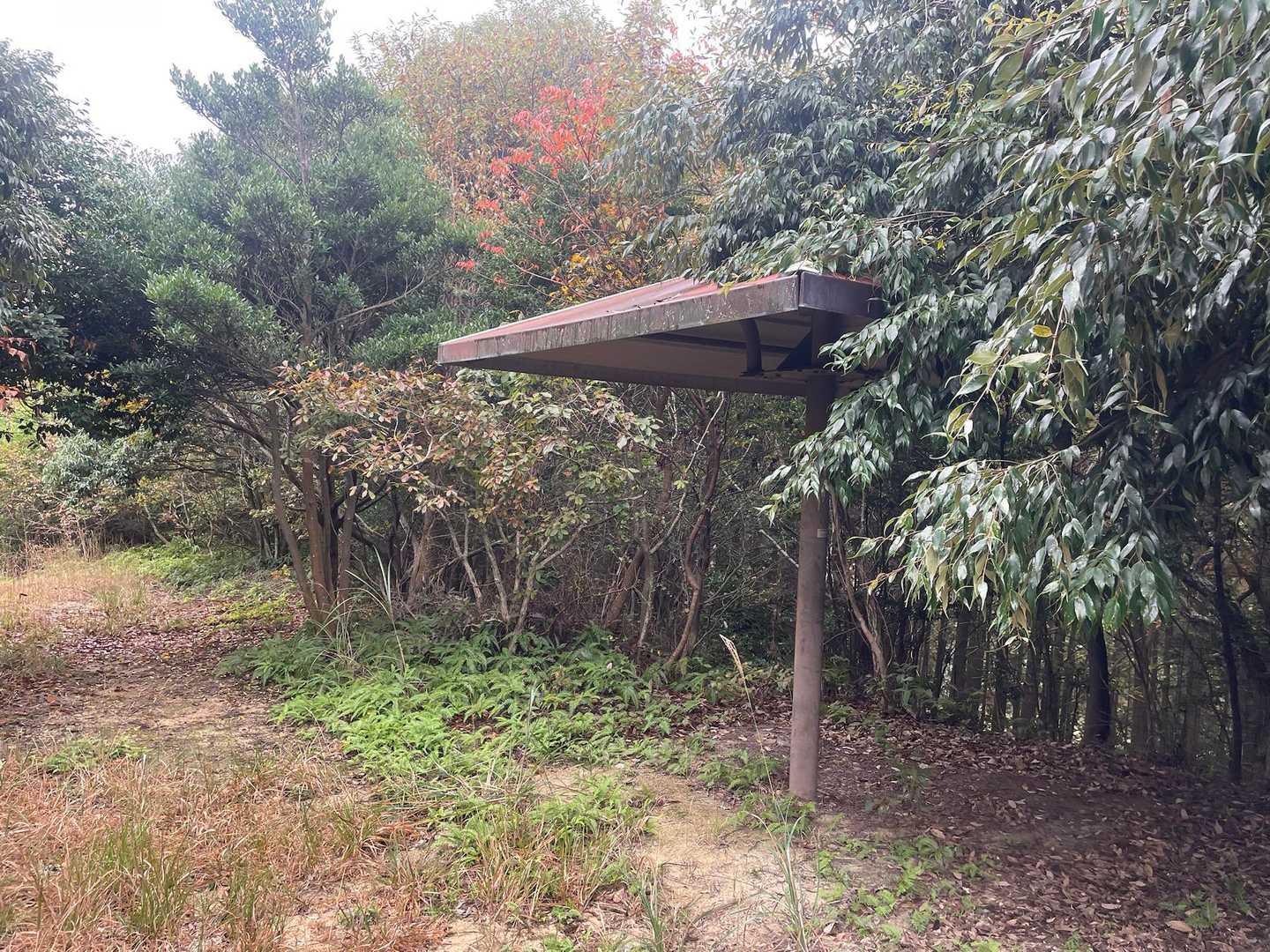 屋根があるならベンチも置いて欲しいね😙