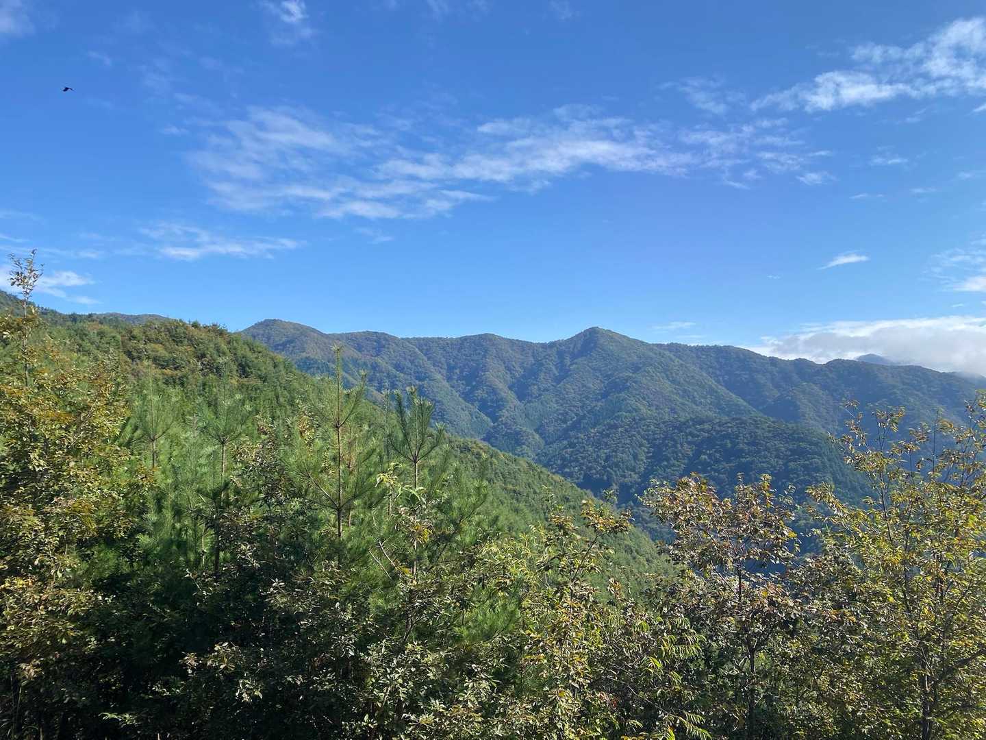 小金沢連嶺が綺麗に見えた🤩