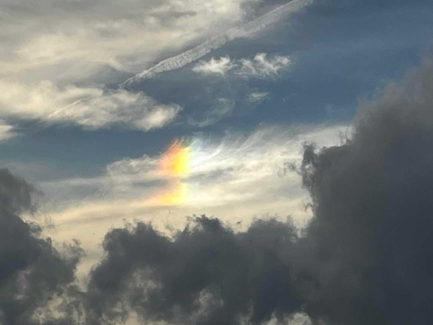 美しい😍🌈