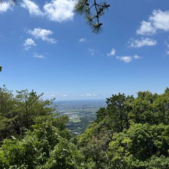 東屋では、朝とはまるで別の日みたい🎵