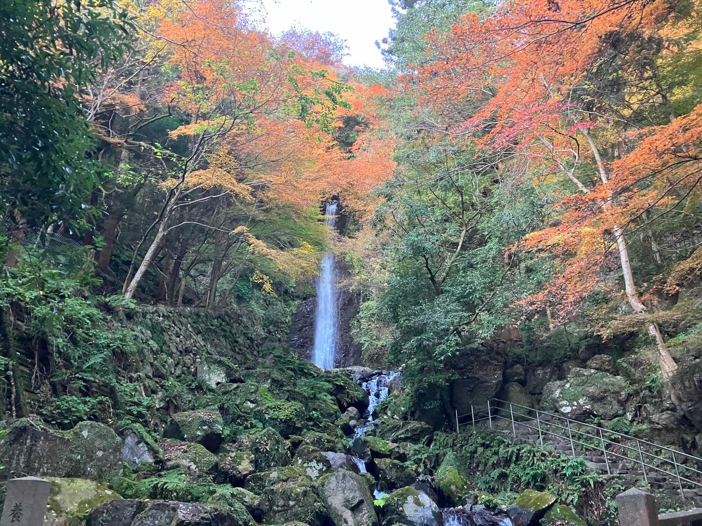 三方山-小倉山-養老山-北尾根P826峰 周回コースの写真