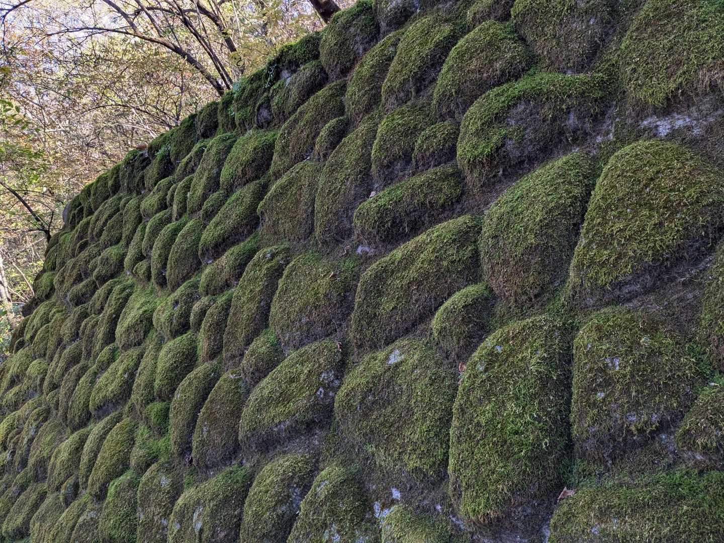 二ッ岳 周回コースの写真