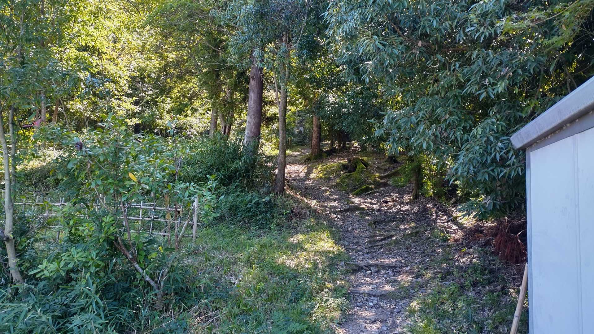 いつものところから
スタート🚶‍♀️