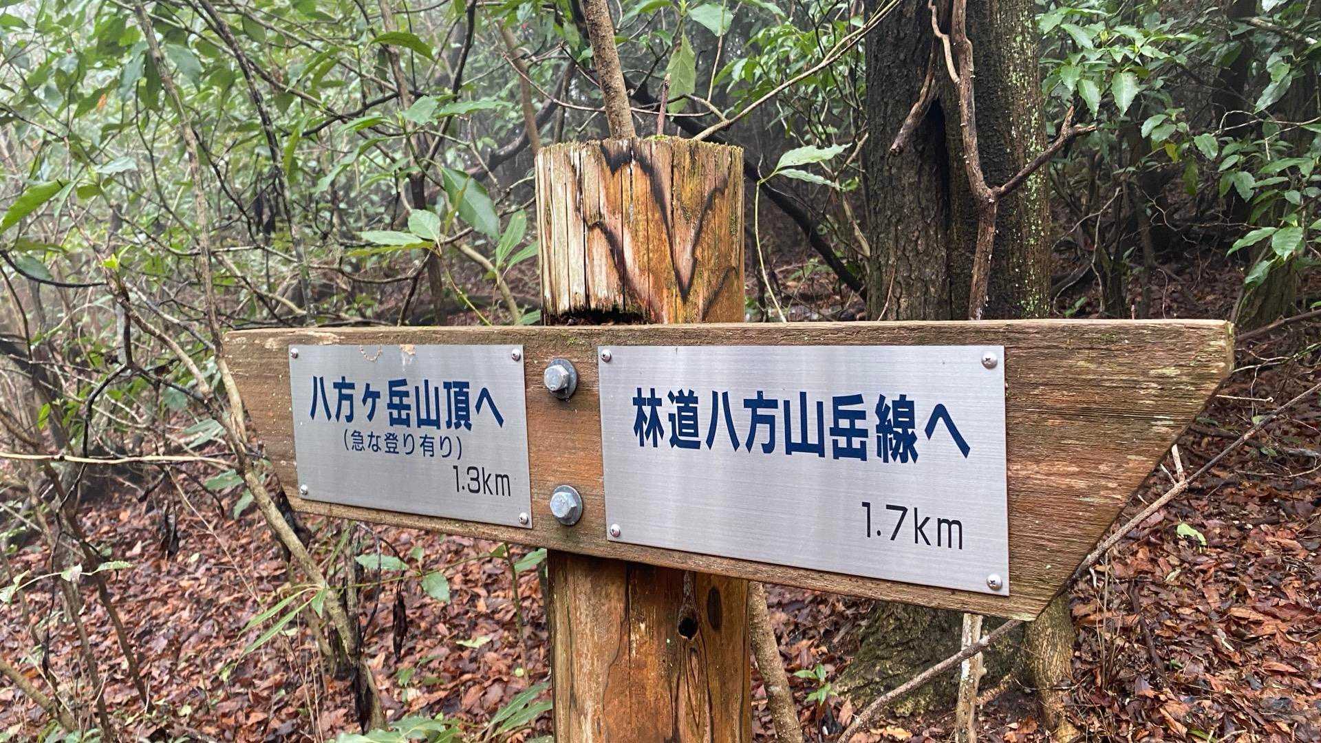 アルミの案内板✨