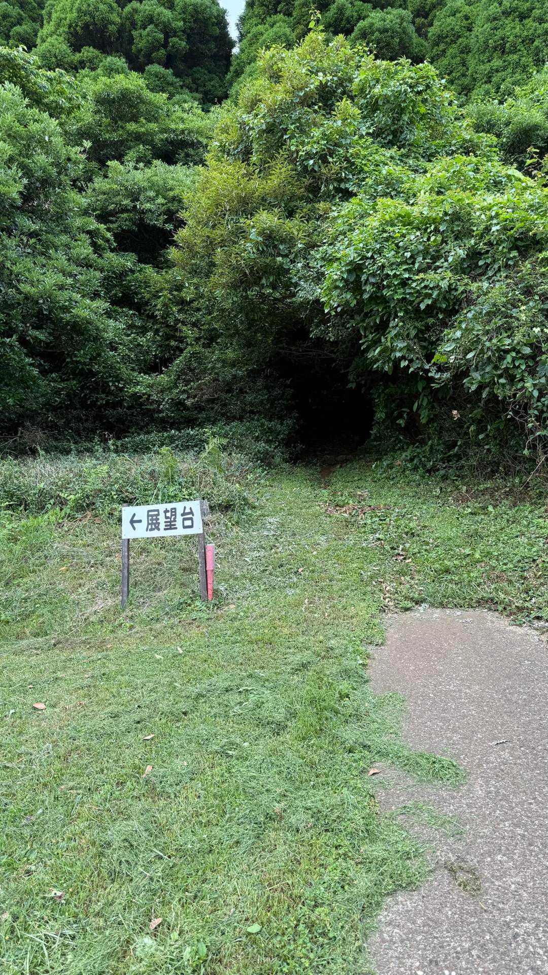 正面暗いところから登っていきますが、まずは展望台へ。展望台の時点で眺望よき✨
