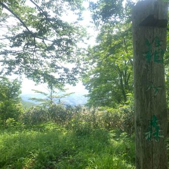 逆光で文字見づらい😅