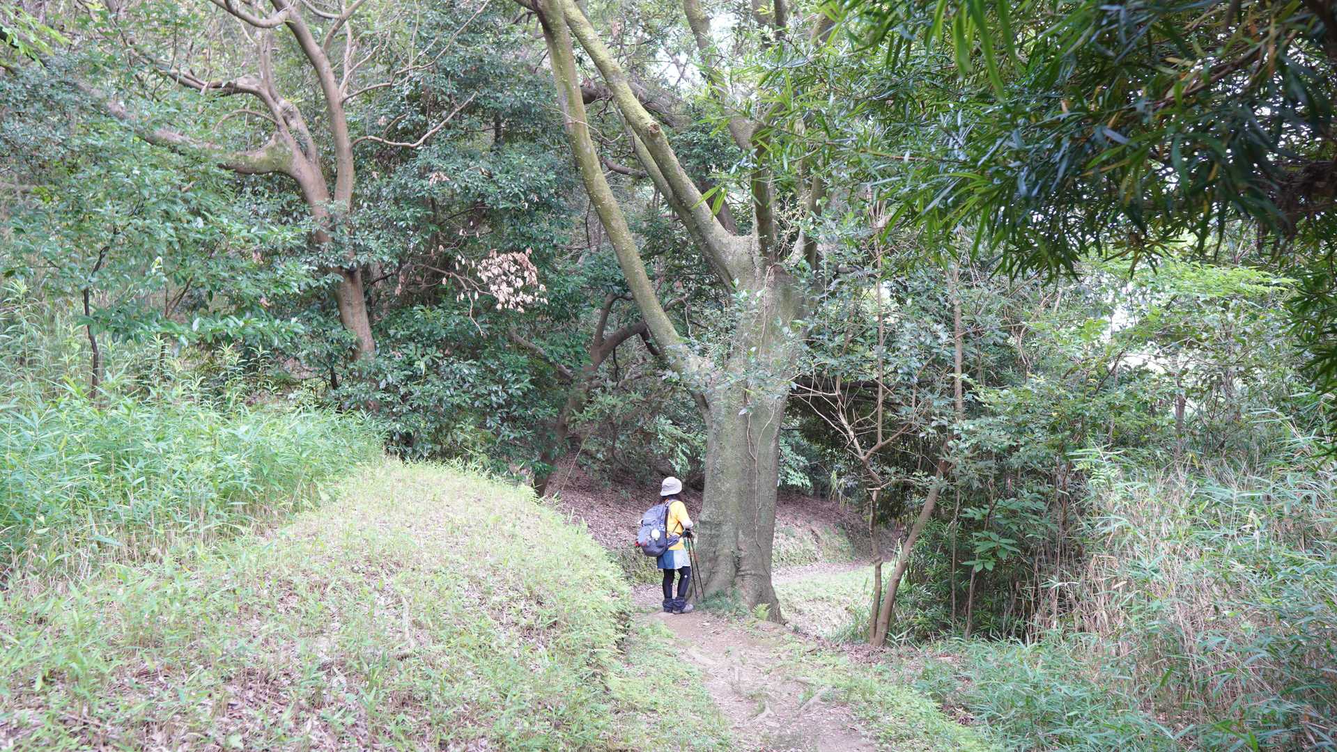 正行寺さん方向に下山します。