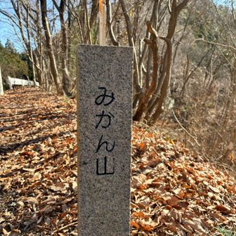 ？？？この辺には🍊なし。
降りた部落は、確かに柑橘系がたっくさん🤗