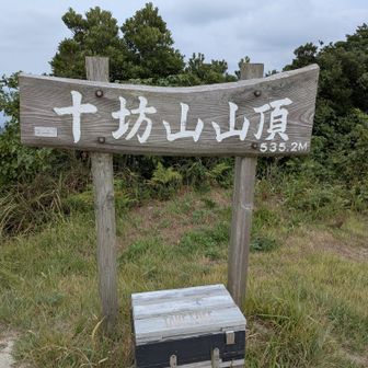 十坊山山頂