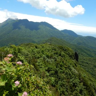 雄大な普賢岳と平成新山の姿が目の前に