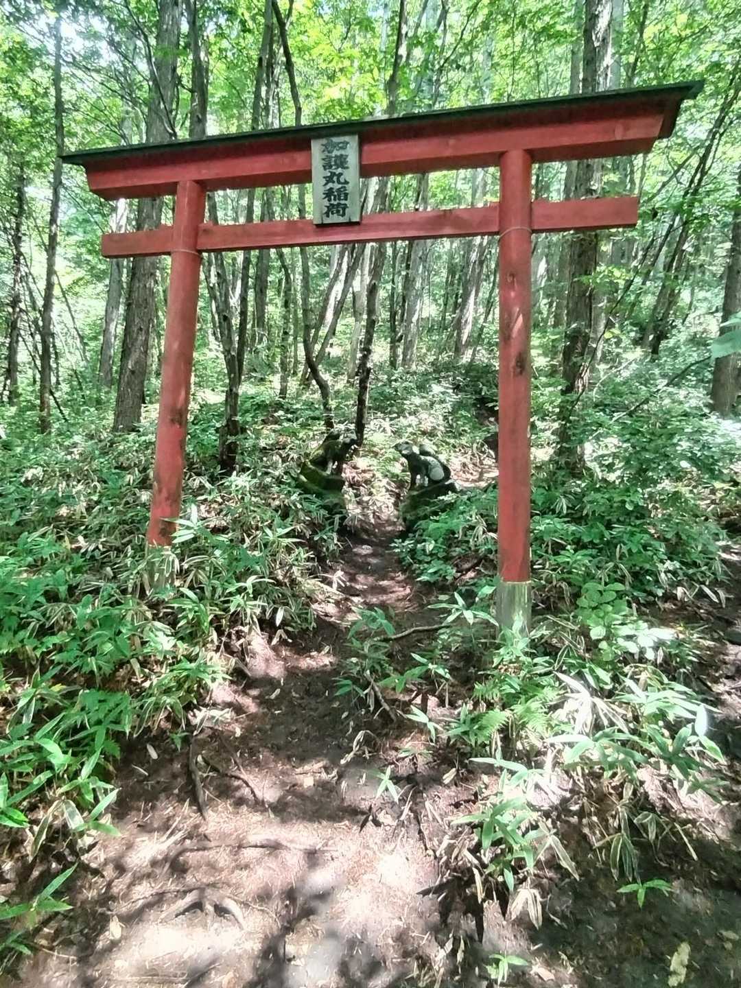 途中にも鳥居
