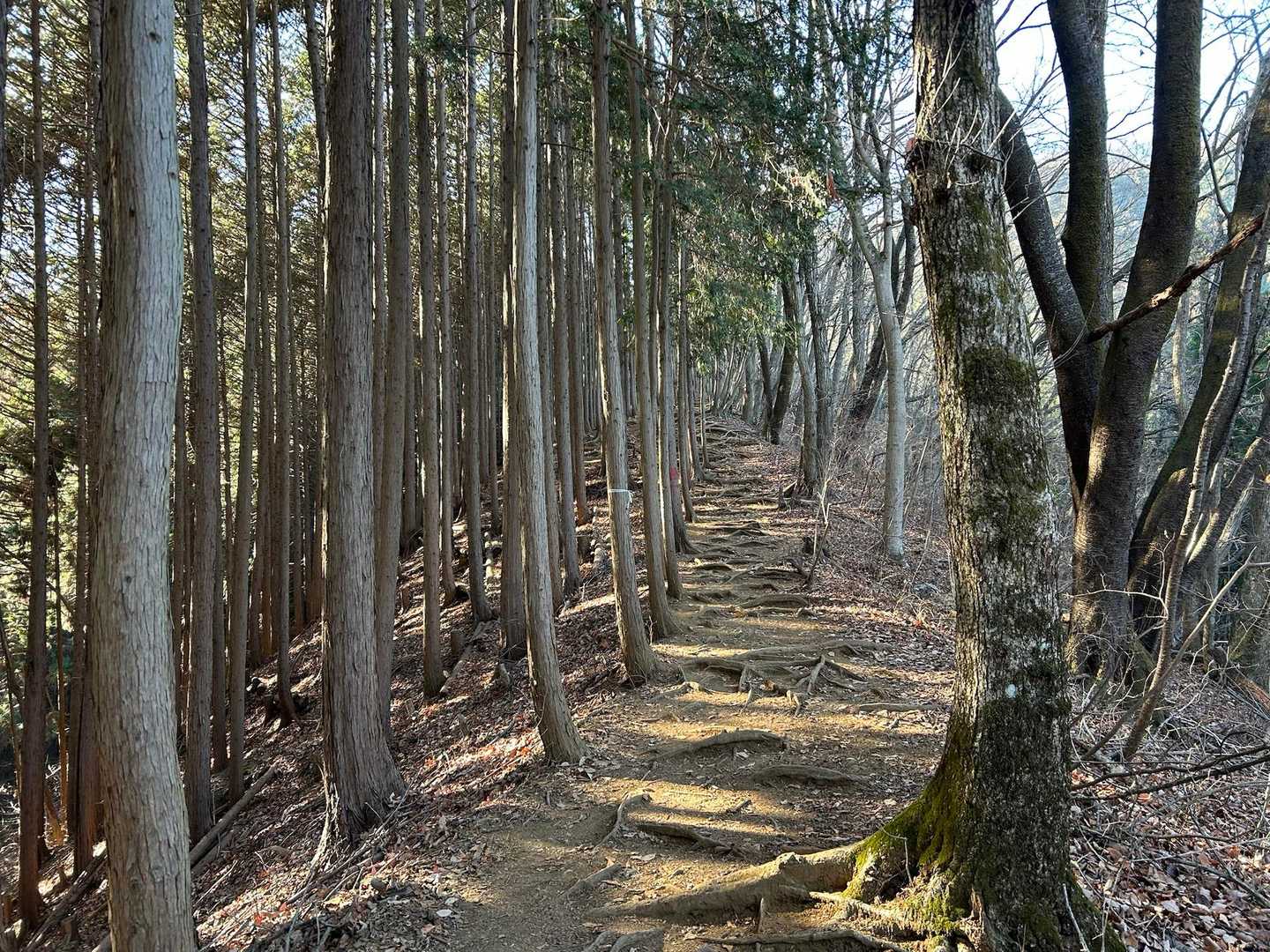 静かで気持ちいい