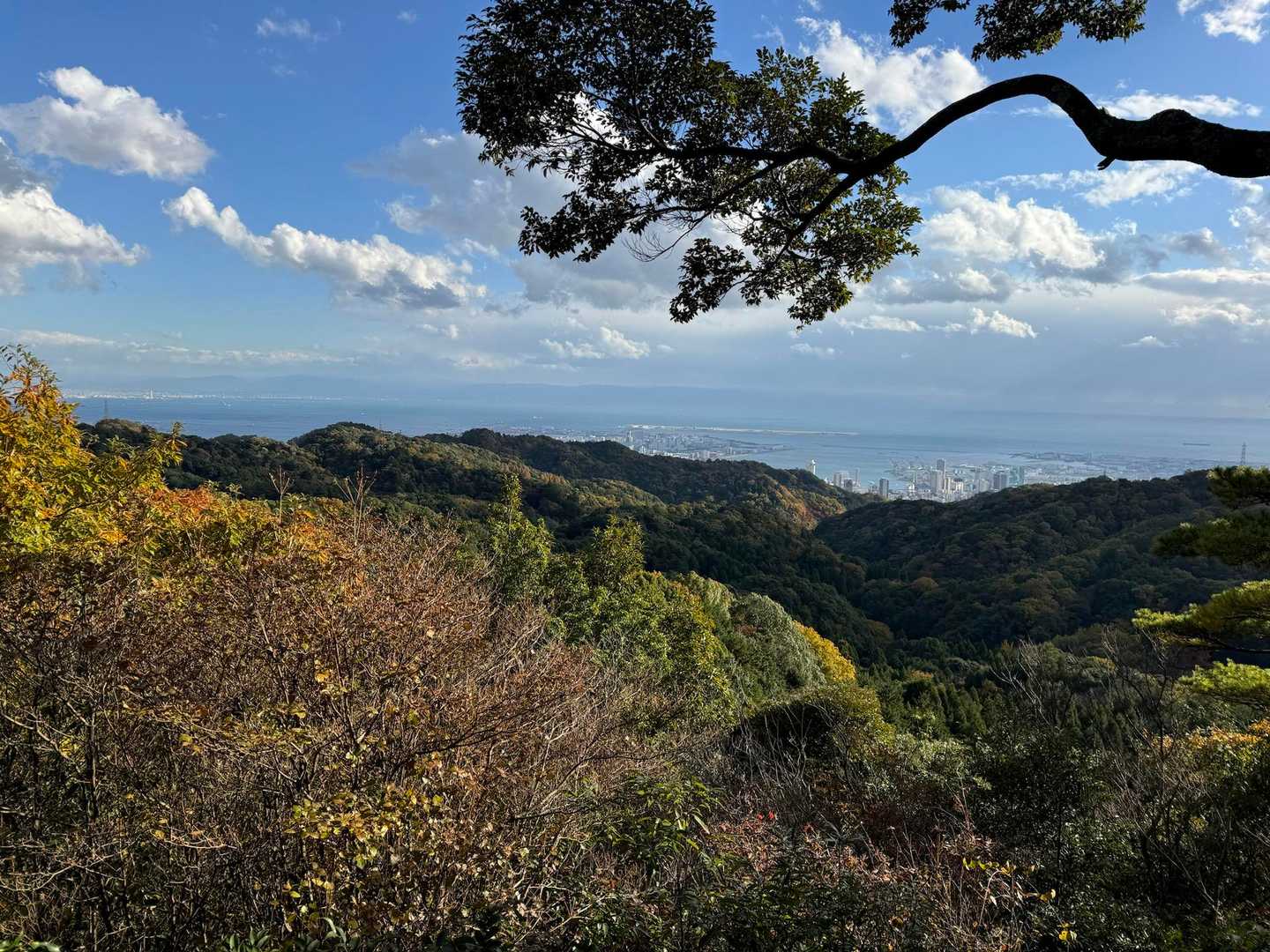 鍋蓋山-再度越-再度山 周回コースの写真