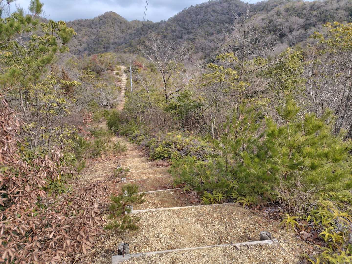 この階段を下りて、登ったらすぐに舗装路に出られます