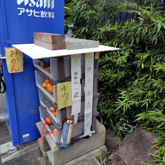 ここで遂に100円みかん🍊を買いました。重いけどもうゴールが近い