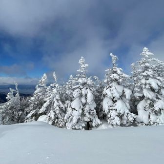 まだまだ大きくなりそうです🧌❄️