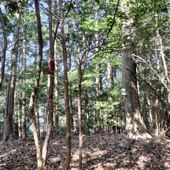 5座目：長者山登頂🙌