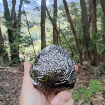 ここは風が良く通る。
気持ちいいです。
