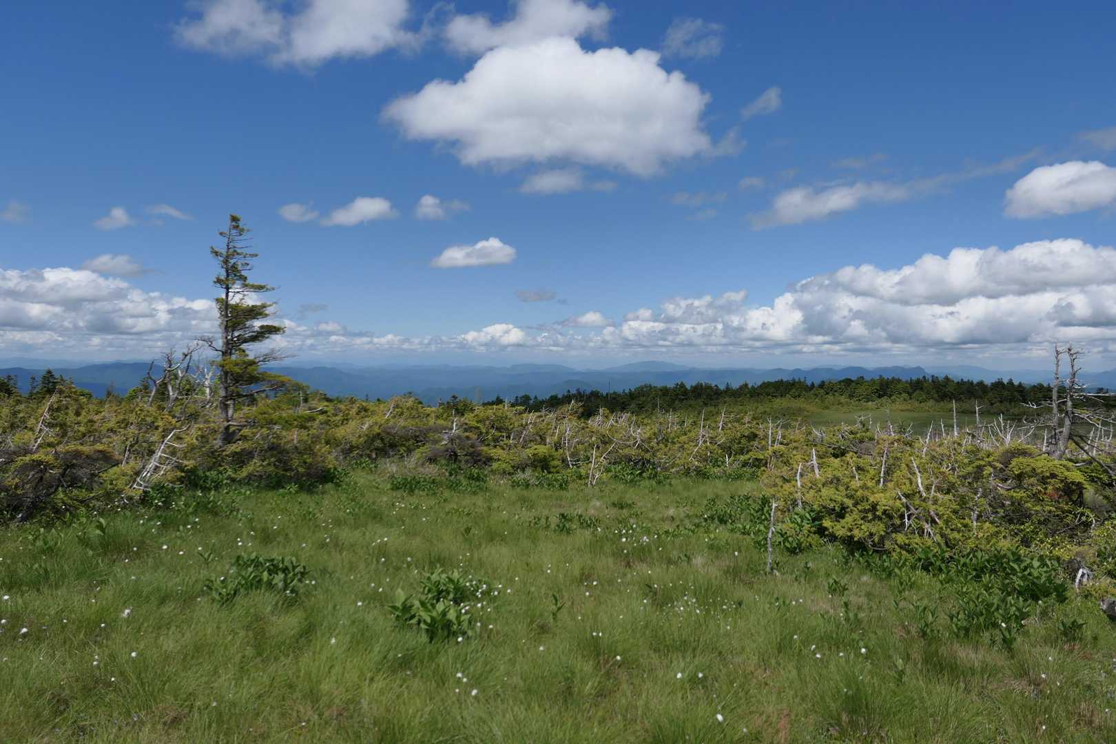 馬坂峠〜帝釈山〜田代山ピストンコースの写真