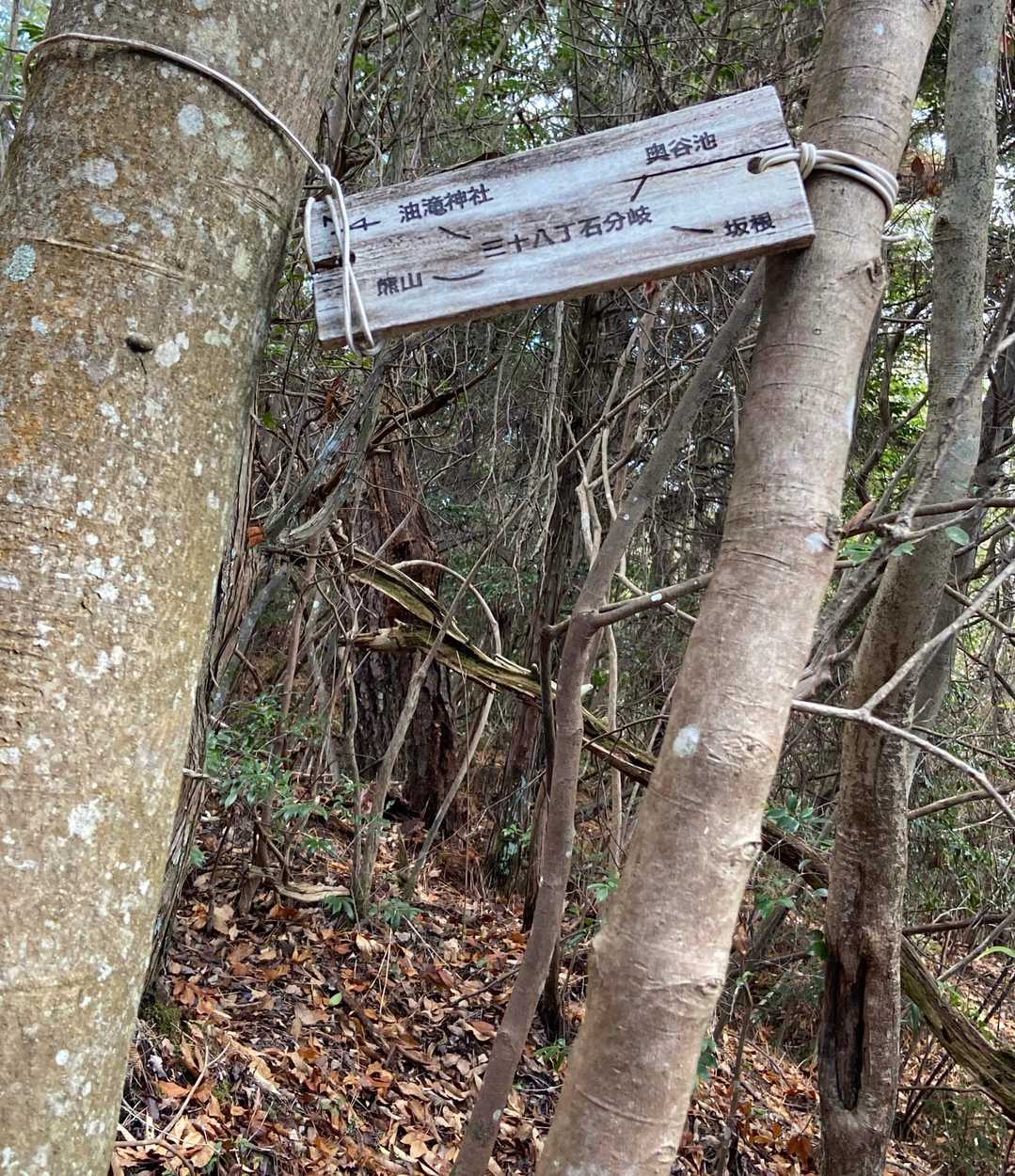 熊山遺跡 往復コースの写真