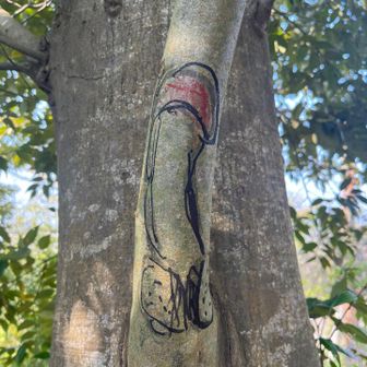 サントリー山　これは落書き？先週こんなのあったのか？落書きなら悲しいな。