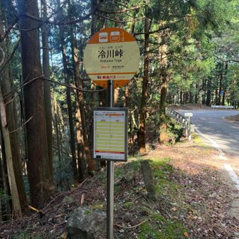 伊豆市側の冷川峠バス停
もうすぐ廃止になるらしいです