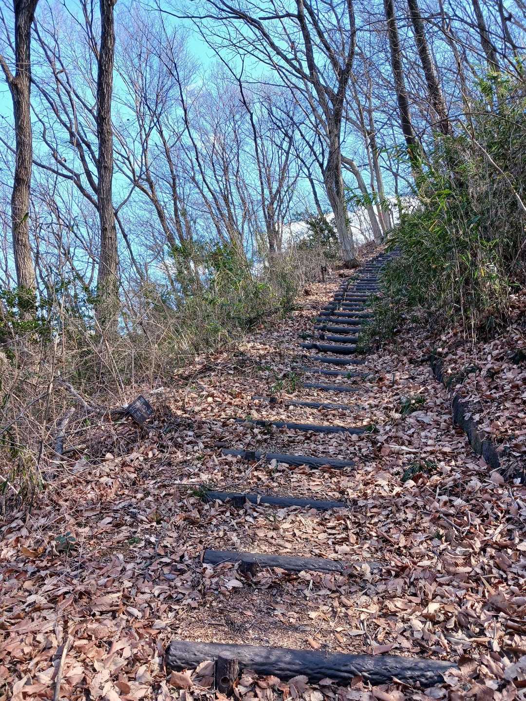 低山あるある