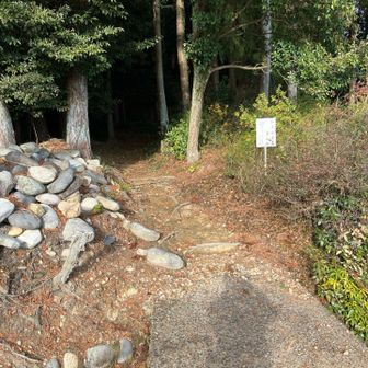 その横には、、、
こちらにも松尾山古道登山口がありました。
あれ？？