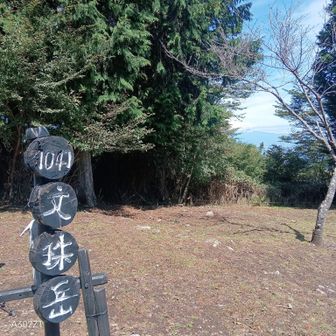 🗻どうかな〜！？