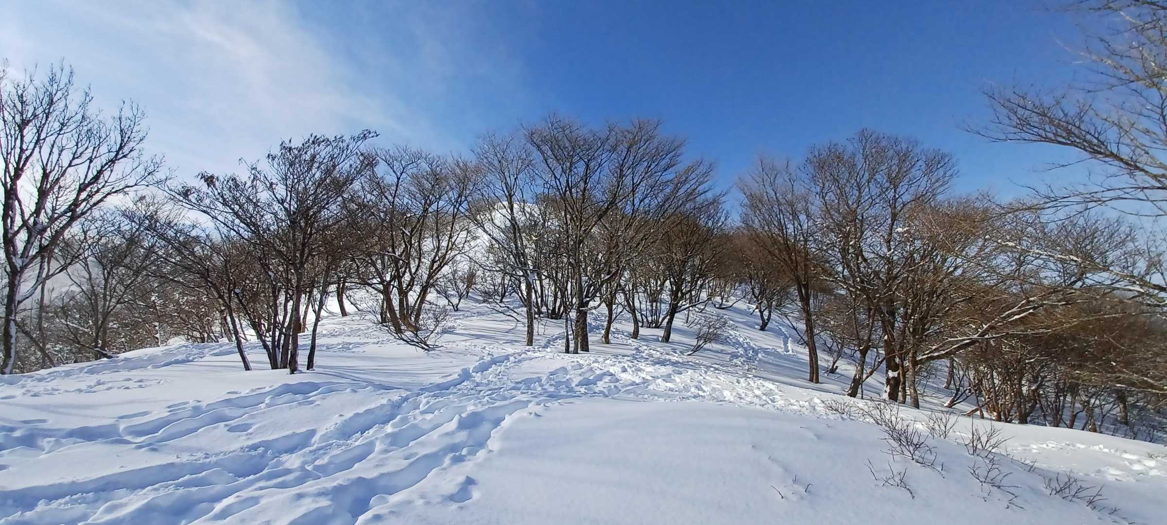 霧氷あるかと思ったら溶けたのかな〜でもまあ青空なので文句なし☀︎