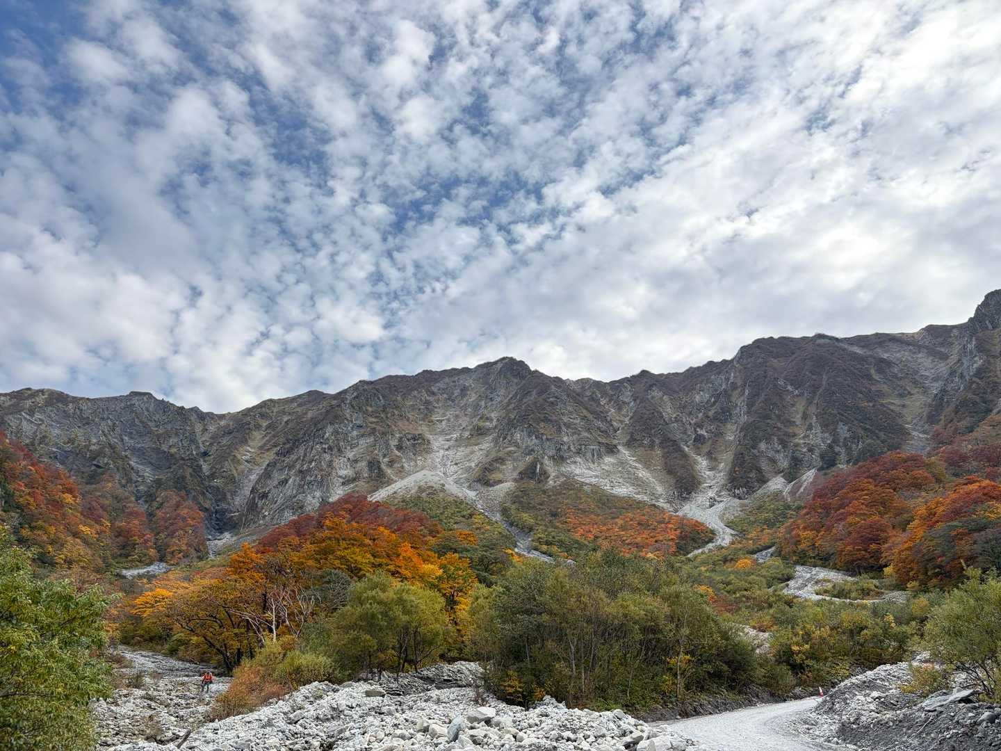 行者登山口-大山夏山登山口 周回コースの写真