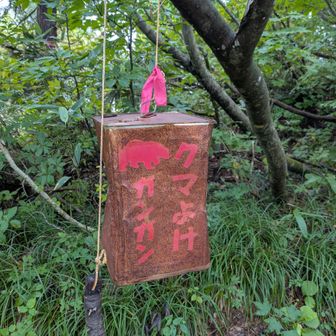 なんか、前よりさびてない？